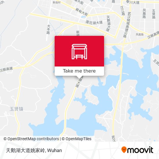 天鹅湖大道姚家岭 map