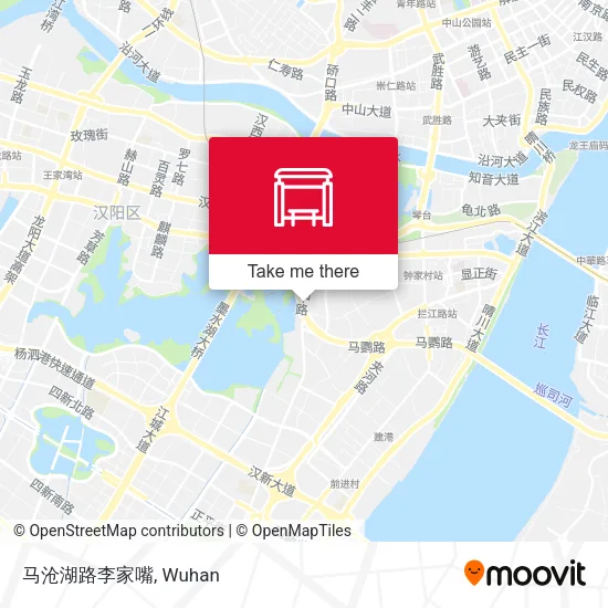 马沧湖路李家嘴 map