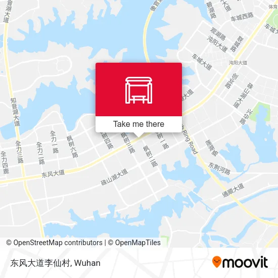 东风大道李仙村 map