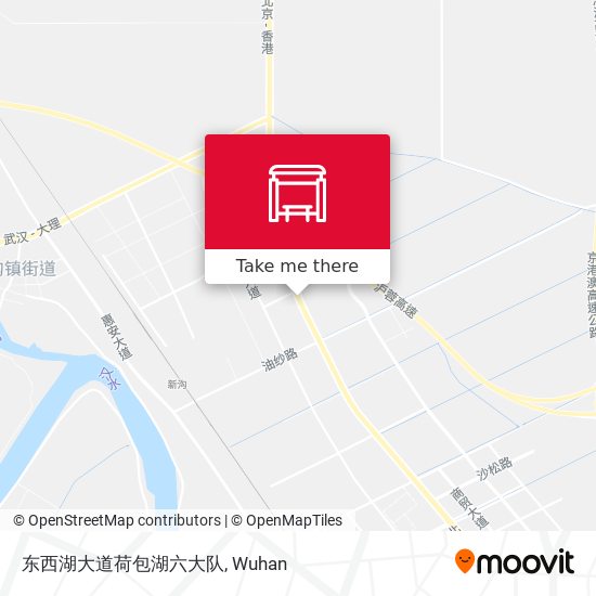 东西湖大道荷包湖六大队 map