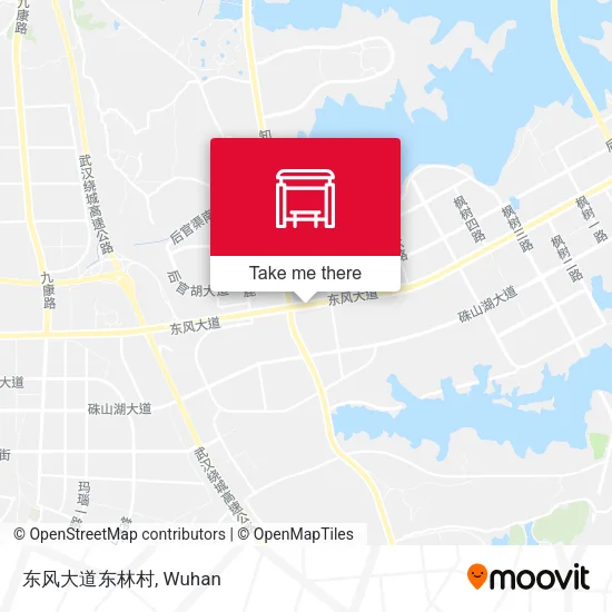 东风大道东林村 map