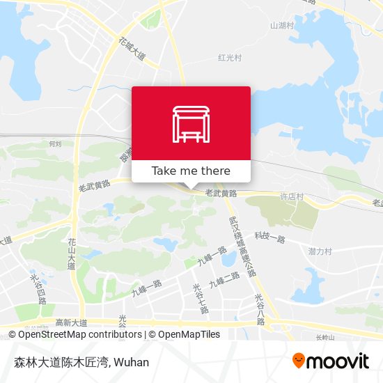 森林大道陈木匠湾 map