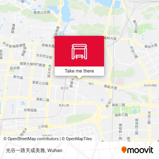光谷一路天成美雅 map