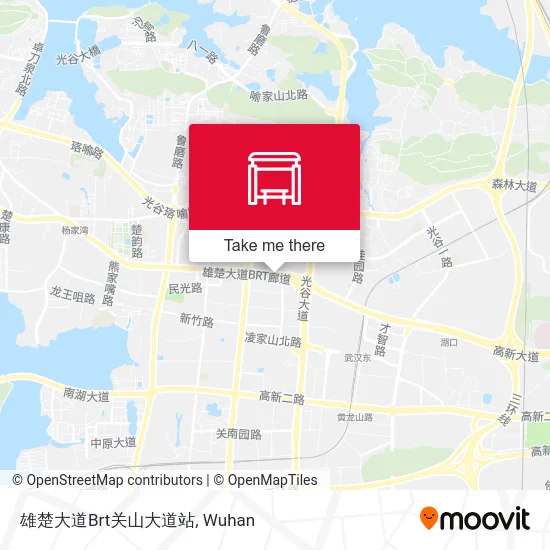 雄楚大道Brt关山大道站 map