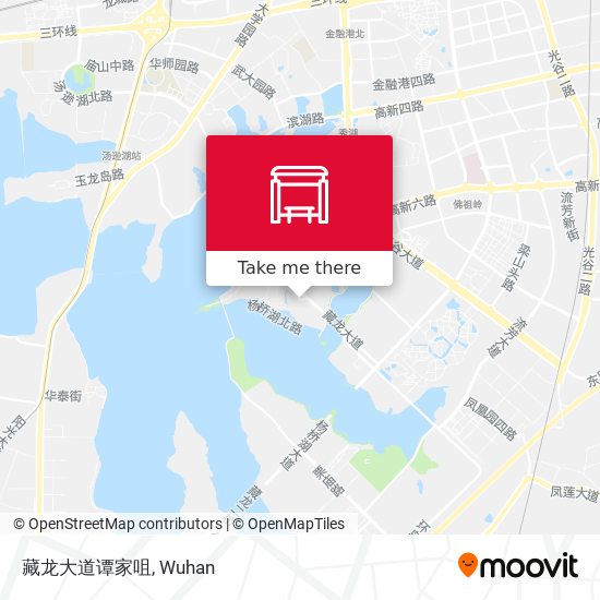 藏龙大道谭家咀 map
