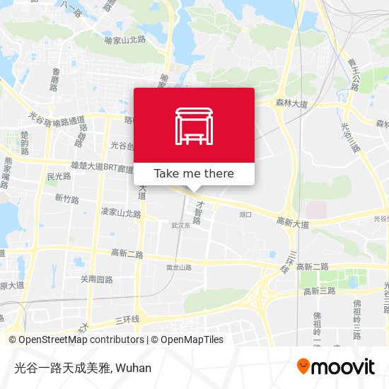光谷一路天成美雅 map