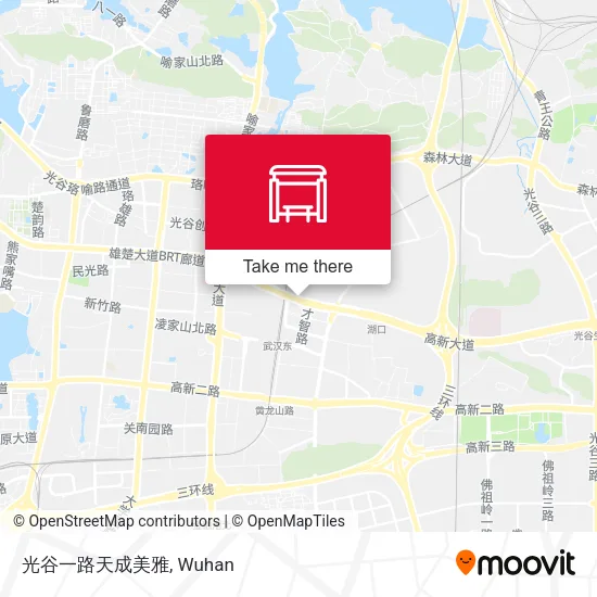 光谷一路天成美雅 map