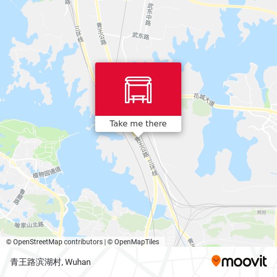 青王路滨湖村 map