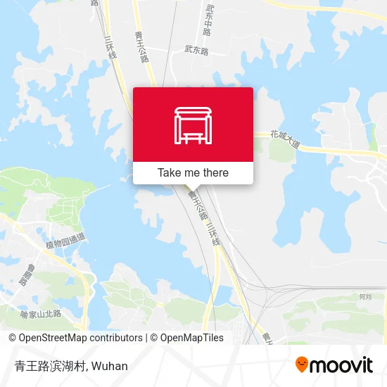 青王路滨湖村 map