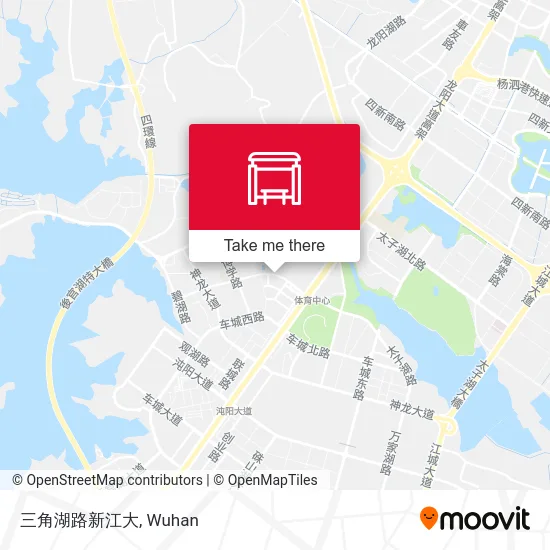 三角湖路新江大 map