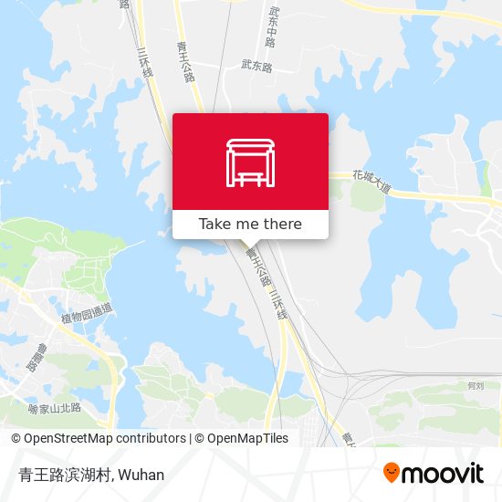 青王路滨湖村 map