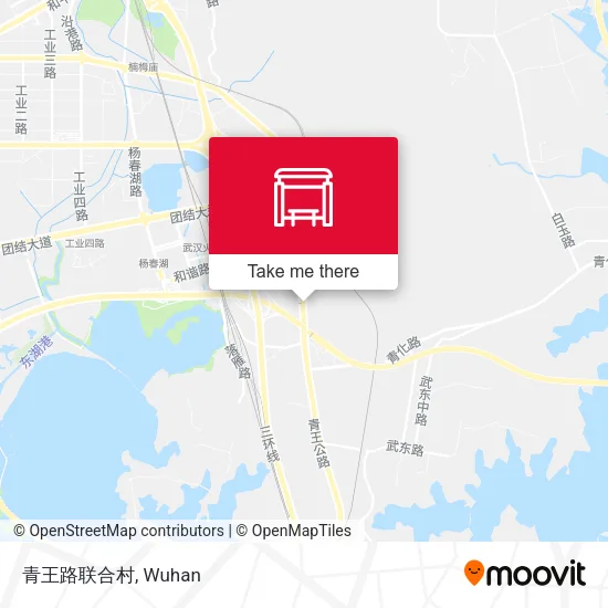 青王路联合村 map