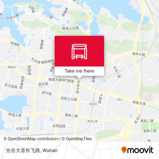 光谷大道长飞路 map