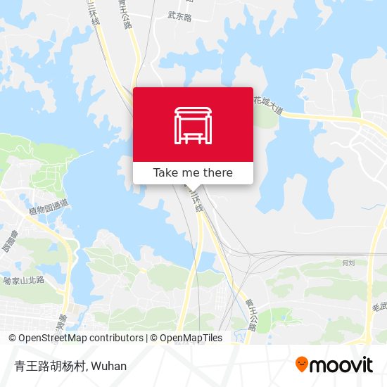 青王路胡杨村 map