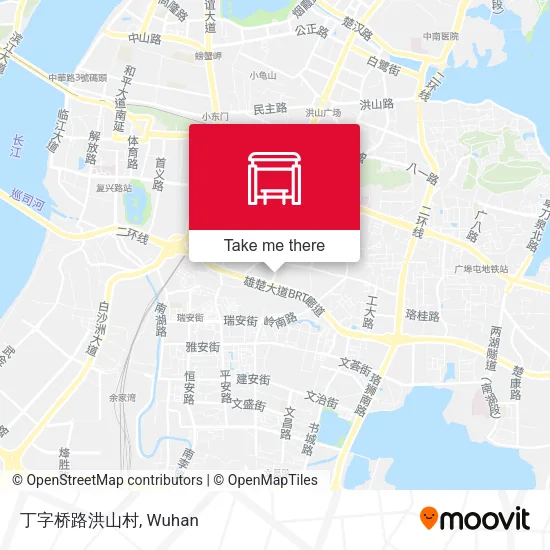 丁字桥路洪山村 map