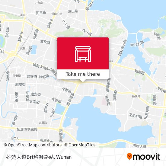 雄楚大道Brt珞狮路站 map