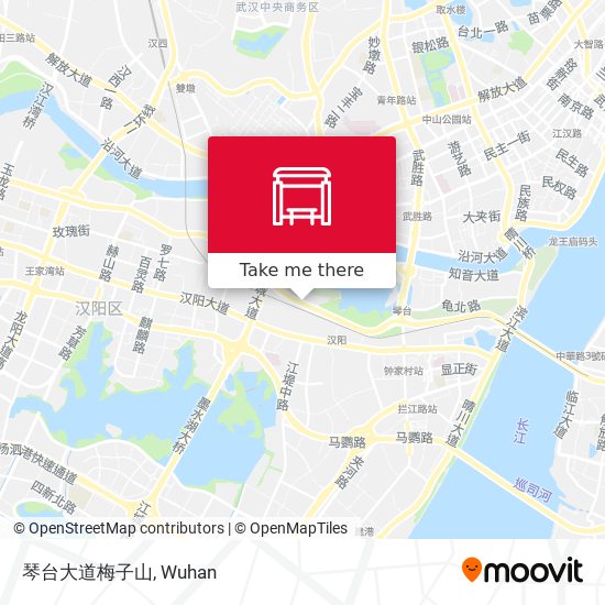 琴台大道梅子山 map