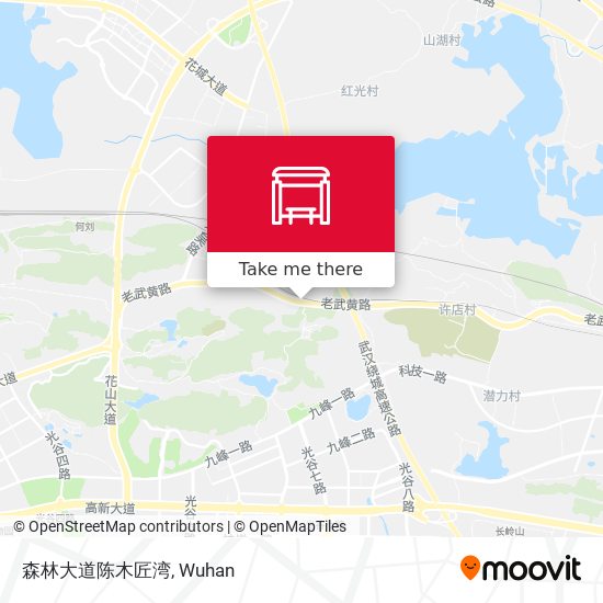 森林大道陈木匠湾 map