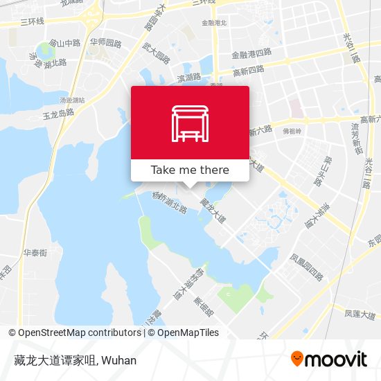 藏龙大道谭家咀 map