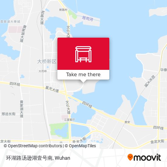 环湖路汤逊湖壹号南 map