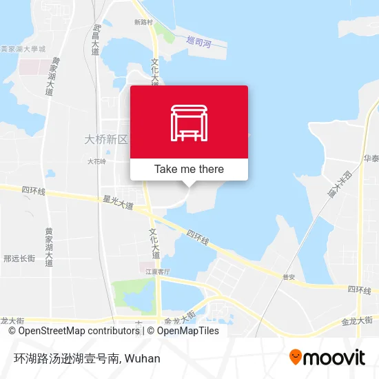 环湖路汤逊湖壹号南 map