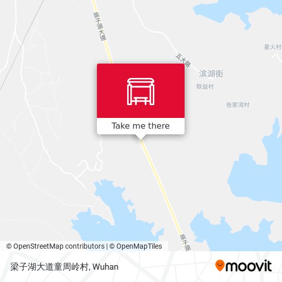 梁子湖大道童周岭村 map