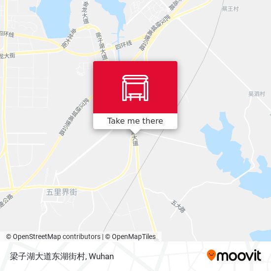 梁子湖大道东湖街村 map