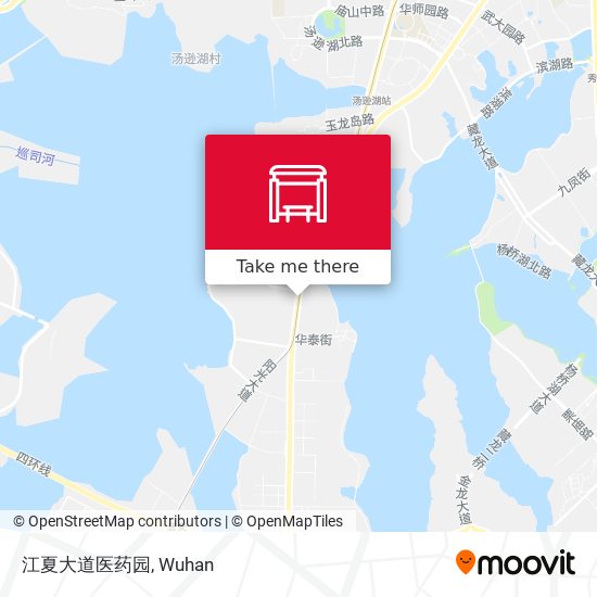江夏大道医药园 map