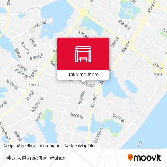 神龙大道万家湖路 map