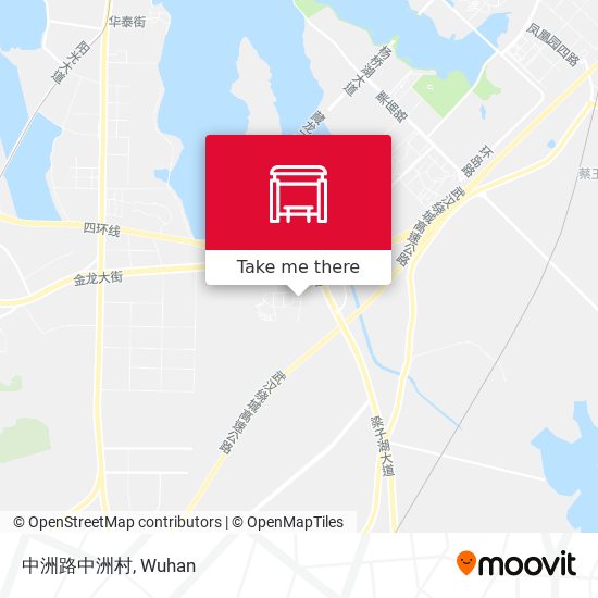 中洲路中洲村 map