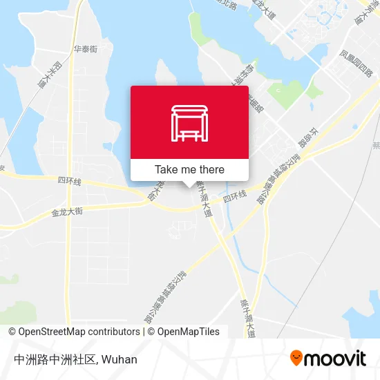 中洲路中洲社区 map