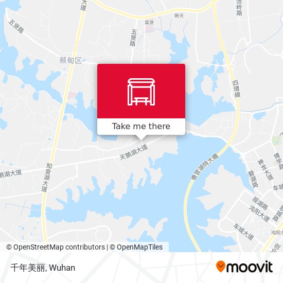 千年美丽 map