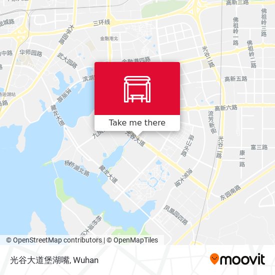 光谷大道堡湖嘴 map