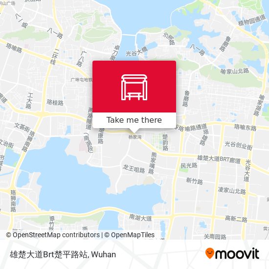 雄楚大道Brt楚平路站 map