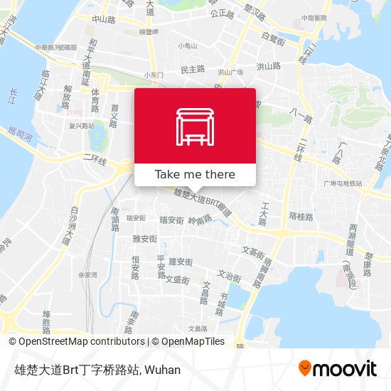 雄楚大道Brt丁字桥路站 map