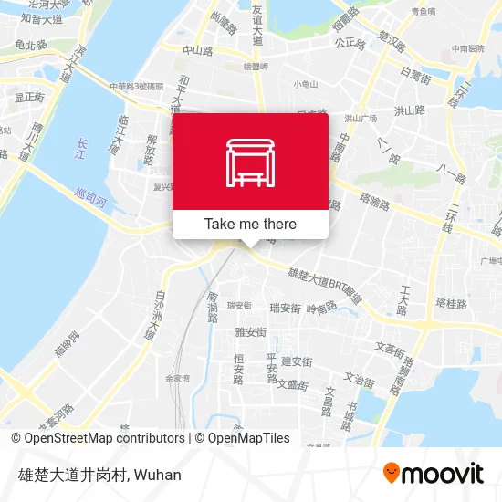 雄楚大道井岗村 map