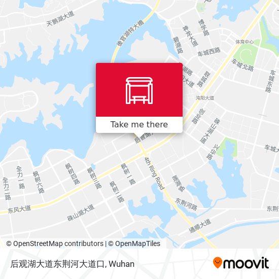 后观湖大道东荆河大道口 map