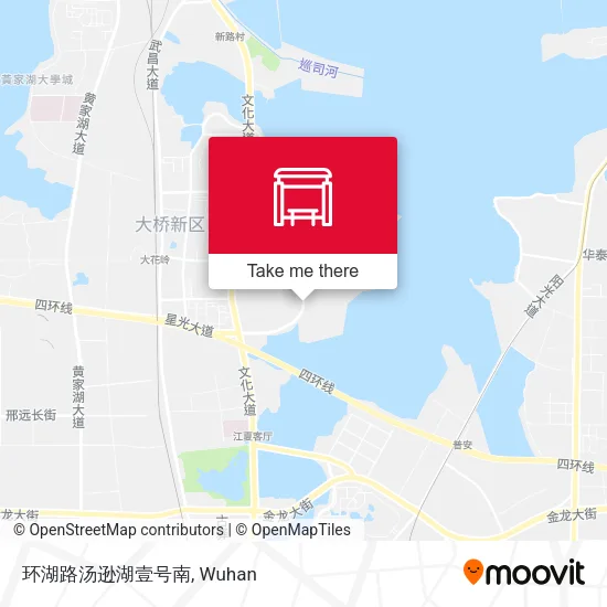 环湖路汤逊湖壹号南 map