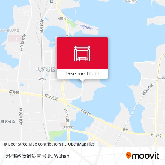 环湖路汤逊湖壹号北 map