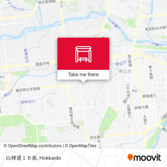 白樺通１６条 map