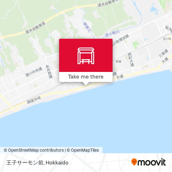 王子サーモン前 map