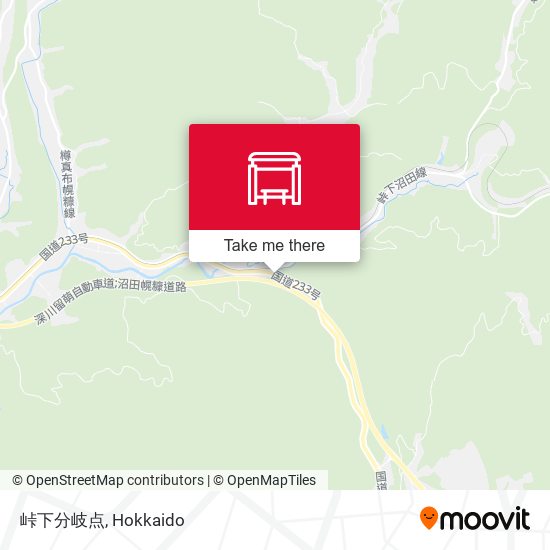 峠下分岐点 map