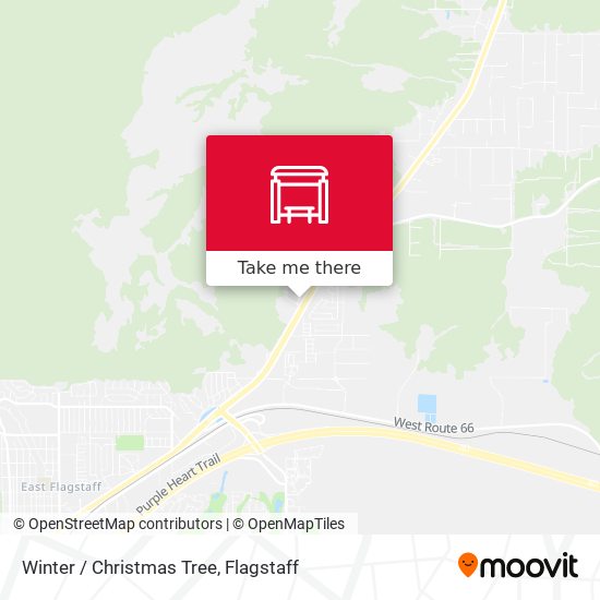 Winter / Christmas Tree map