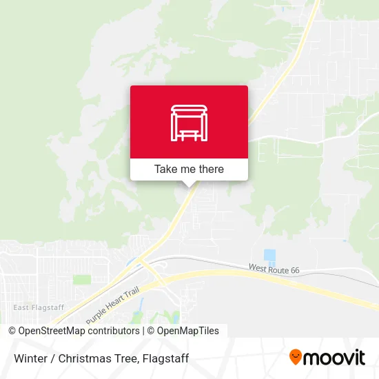 Mapa de Winter / Christmas Tree