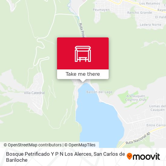 Bosque Petrificado Y P N Los Alerces map