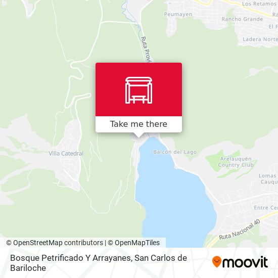 Mapa de Bosque Petrificado Y Arrayanes