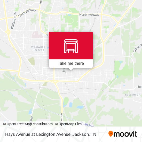 Hays Avenue at Lexington Avenue map