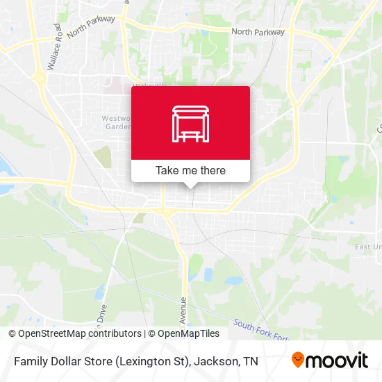 Family Dollar Store (Lexington St) map