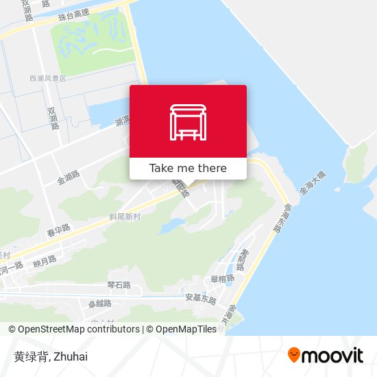 黄绿背 map