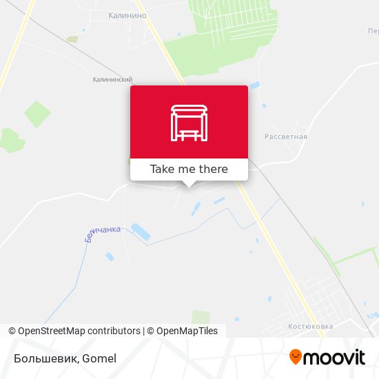 Большевик map